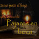 Lecturas junto al fuego: Octubre-Noviembre 2026